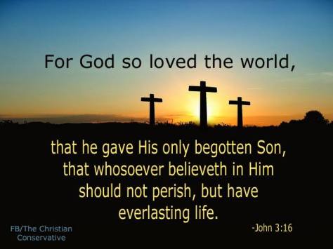 11233256_564621067024973_1664331822269875922_n