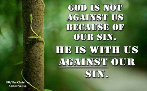 12187973_564802333673513_8633573126971890476_o