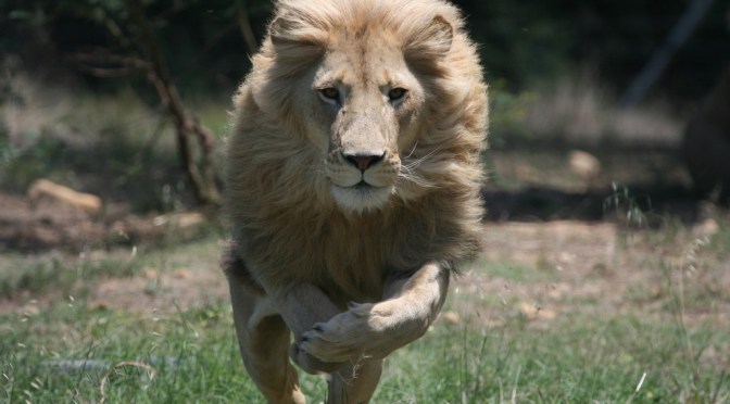 Are You Vulnerable to Attack?