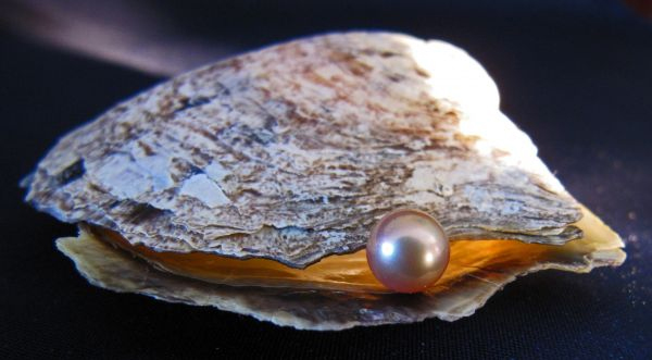 Are You a Pearl?